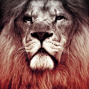 Meet your Posher, Lizeth